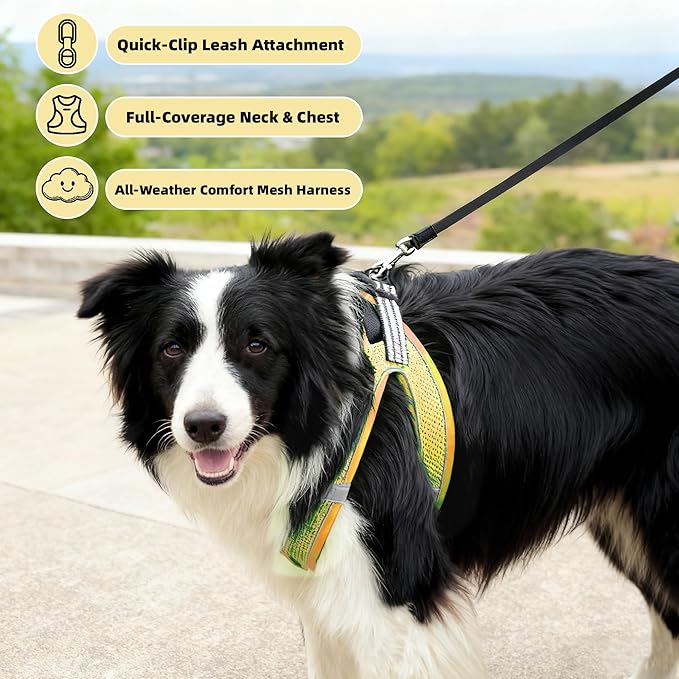 ROYPET Step-in Air Dog Harness, All Weather Mesh Step in Vest Harness for Small and Medidum Dogs and Cats, Adjustable Soft Padded Dog Vest with Easy Control Handle for Dogs Pets (Yellow, M)