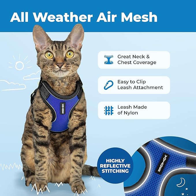 Voyager Escape-Proof Step-in Lock Cat Harness & 5ft Neoprene-Handle Leash Set All-Weather Mesh with Reflective Stitching for Small to Large Cats by Best Pet Supplies, Black Trim-Royal Blue (327), XS
