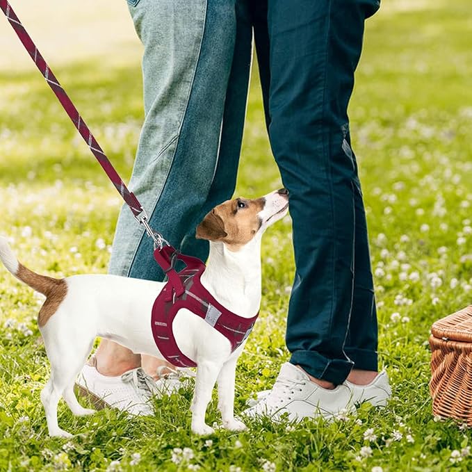 PUPTECK Adjustable Dog Harness Collar and Leash Set Step in No Pull Pet Harness for Small Medium Dogs Puppy and Cats Outdoor Walking Running, Soft Mesh Padded Reflective Vest Harnesses, Red M