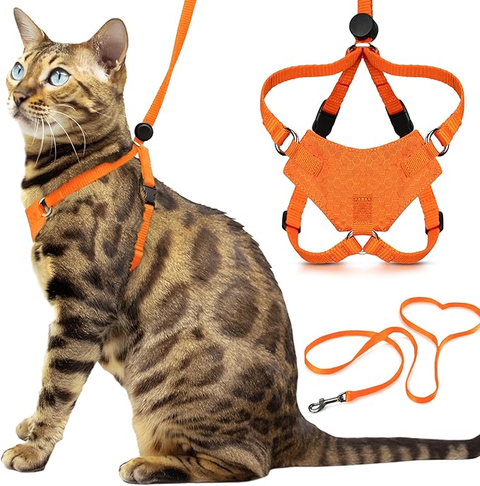 Houdini™ Escape Proof Kitten Harness and Leash Set by OutdoorBengal – Orange, Small Cat Harness for Walking