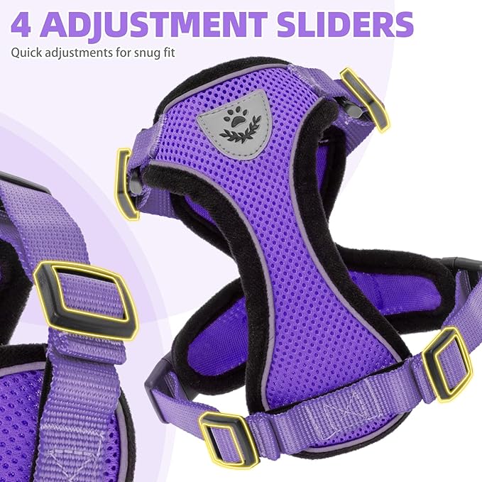 PUPTECK Cat Harness and Leash Set Escape Proof Reflective Cat Walking Harness Adjustable Soft Breathable Mesh Vest for Small Pets, Purple, S