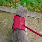 PUPTECK Soft Mesh Cat Vest Harness and Leash Set Puppy Padded Pet Harnesses Escape Proof for Cats Small Dogs, Red Medium
