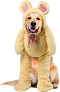 Rubies Walking Teddy Bear Pet Costume for Dogs or Cats, XXL