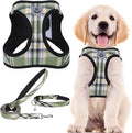 PUPTECK Adjustable Dog Harness Collar and Leash Set Step in No Pull Pet Harness for Small Medium Dogs Puppy and Cats Outdoor Walking Running, Soft Mesh Padded Reflective Vest Harnesses, Grn&YLW, XS