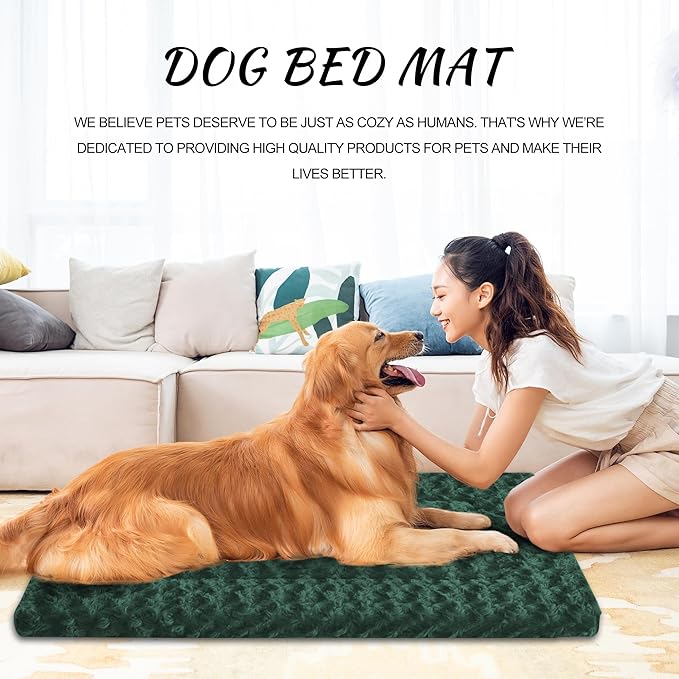 Washable Dog Bed Plush Orthopedic Outdoor Crate Mat with Non-Slip Bottom,Luxe Soft Kennel Pad for Pets,Cozy Cage Cushion & Pet Sleeping Mattress Large Sized,Medium,Small Dogs,36 x 24 inch,Green