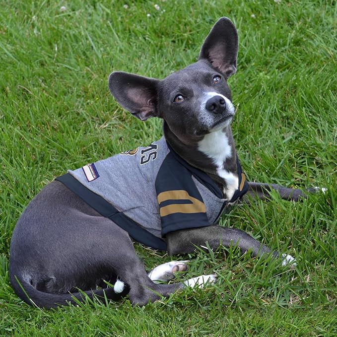 PET Hoodie T-Shirt for Dogs & Cats. NFL Los Angeles Rams Football Licensed Dog Hoody Tee Shirt, X-Small Sports Hoody T-Shirt for Pets Licensed Sporty Dog Shirt