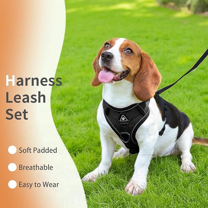 No Pull Dog Harness with Leash Set for Small Sized Dog, Reflective Adjustable No Choke Front Clip Cat Vest Harness with Breathable Mesh, Comfortable Soft Padded Pet Vest, Black L
