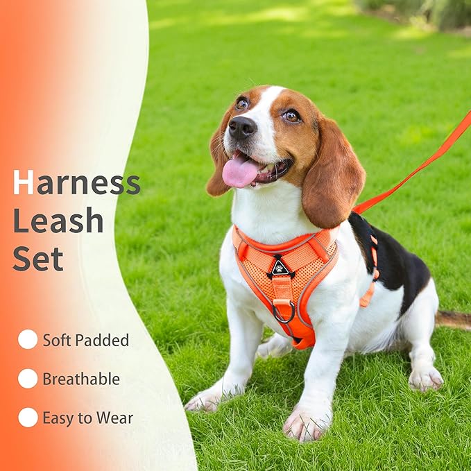 No Pull Dog Harness with Leash Set for Medium Sized Dog, Reflective Adjustable No Choke Front Clip Cat Vest Harness with Breathable Mesh, Comfortable Soft Padded Pet Vest, Orange XL