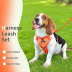 No Pull Dog Harness with Leash Set for Small Sized Dog, Reflective Adjustable No Choke Front Clip Cat Vest Harness with Breathable Mesh, Comfortable Soft Padded Pet Vest, Orange M