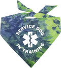 Service Dog in Training Dog Bandana (Green/Blue Scrunch, OS 289)