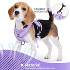 No Pull Dog Harness with Leash Set for Small Sized Dog, Reflective Adjustable No Choke Front Clip Cat Vest Harness with Breathable Mesh, Comfortable Soft Padded Pet Vest, Purple L