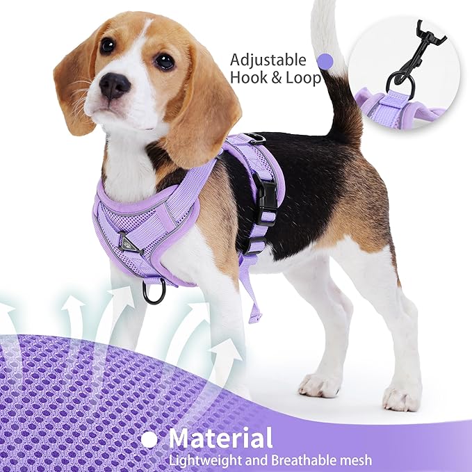 No Pull Dog Harness with Leash Set for Small Sized Dog, Reflective Adjustable No Choke Front Clip Cat Vest Harness with Breathable Mesh, Comfortable Soft Padded Pet Vest, Purple L