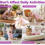 Cat Recovery Suit, Breathable Cat Onesie for Cats After Surgery, Kitten Onesie Bodysuit for Female Abdominal Wounds Skin Diseases E-Collar Alternative Wear (Pink, Medium)