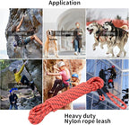 Long Dog Leash for Training 30Ft-Reflective Nylon Rope with Swivel Hook-Recall Agility Lead for Large Small Medium Dogs Outside Walking Hiking-Orange