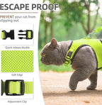 PUPTECK Soft Mesh Cat Vest Harness and Leash Set Puppy Padded Pet Harnesses Escape Proof for Cats Small Dogs Rabbits Bunny