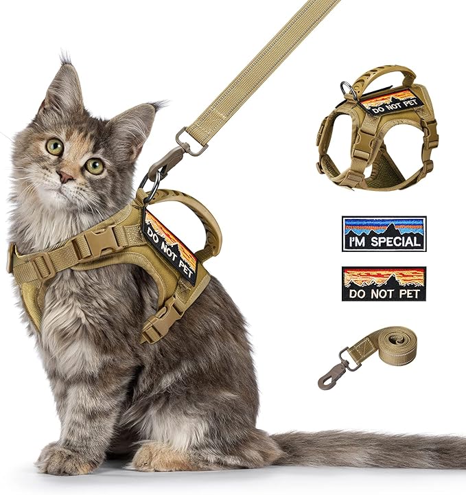 Tactical Cat Harness and Leash for Walking Esacpe Proof,Adjustable Soft Mesh Large Cat Vest with Rubber Handle Easy to Control,Molle Patches