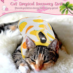 Nuanchu 3 Pieces Cat Recovery Suit Kitten Recovery Suit E-Collar Alternative for Cats and Dogs Abdominal Skin Anti Licking Pajama Clothes Sets(Medium,Fruit Style,Colorful)