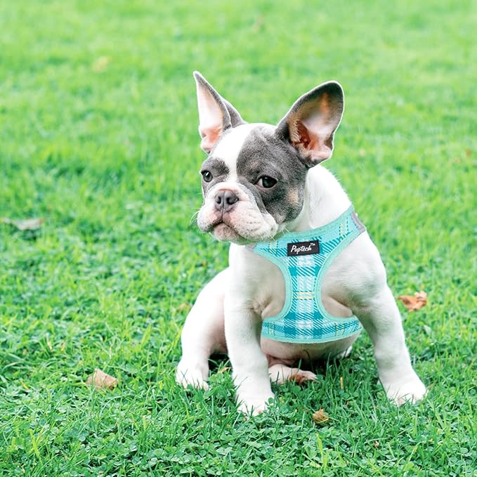 PUPTECK Dog Harness and Leash Set for Small Medium Dogs No Pull Step-in Soft Mesh Puppy Cat Vest Harnesses Reflective at Night, Plaid Pattern Green XS