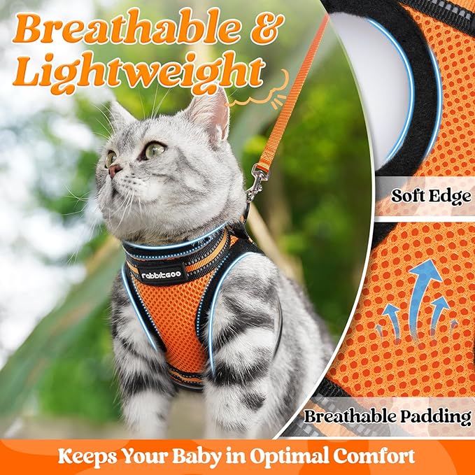 rabbitgoo Cat Harness and Leash Set for Walking Escape Proof, Adjustable Soft Kittens Vest with Reflective Strip for Cats, Comfortable Outdoor Vest,Light Orange,M