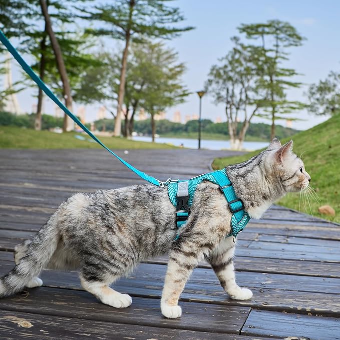 Cat Harness and Leash Escape Proof Small Kitten Harness Abyssinian Cat Vest for Walking Travel, Turquoise, S