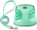 Dog Harness with Leash Set, No Pull Adjustable Reflective Step-in Puppy Pet Vest Harnesses for Small Medium Large Dogs and Cats,Green L