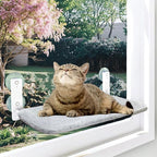 Cat Window Perch, Cordless Foldable Cat Hammock for Indoor Cats with Upgraded Suction Cups Strong Metal Frame Holds Up to 44lbs (M 1PC)
