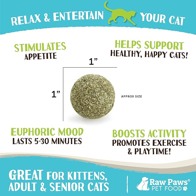 Raw Paws Catnip Balls for Cats, (6-Count) - Interactive Cat Toy for Indoor Cats - Cat Nip Licking Balls
