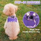 PUPTECK Dog Harness for Puppy and Small Sized Dogs, Step-in No Pull Soft Mesh Vest Harness for Cats Small Pets Walking, Purple, New XXS