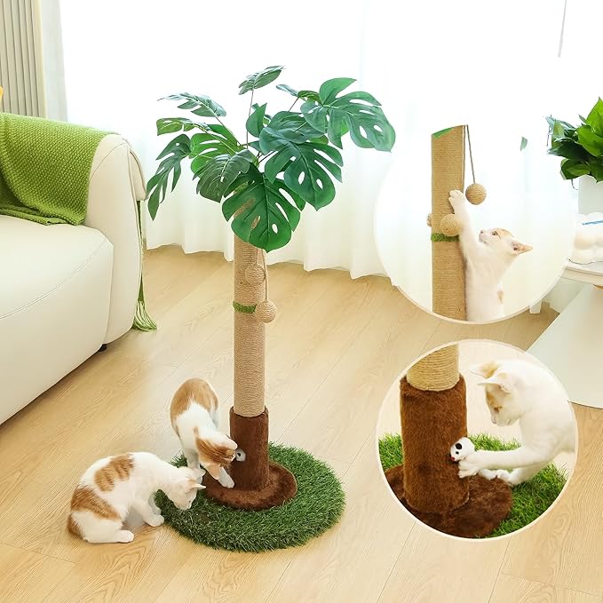 Cat Scratching Post for Indoor Cats and Kitten - 35.43" Tall Cat Scratching Post with Sisal Rope,Palm Tree Cat Scratch Post with Hanging Ball