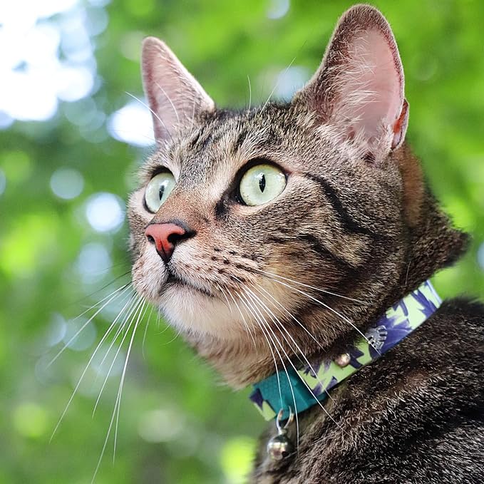 Kittyrama Botanicals Lotus Cat Collar. Award Winning. Hypoallergenic, Quick Release Breakaway, Comfy & Soft. Vet Approved. Other Styles Available
