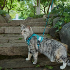 Cat Harness and Leash Escape Proof Extra Large Kitten Harness Maine Coon Cat Vest for Walking Travel, Turquoise, XXL