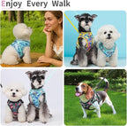 Step in Dog Harness with Leash Set, Adjustable Soft Padded and Breathable Mesh for Small Sized Dog, Reflective No Pull No Choke Cat Vest Harness, Easy Control Pet Vest, Pink L