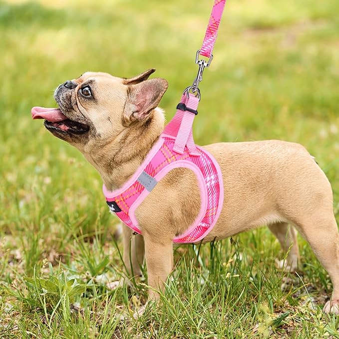 PUPTECK Dog Harness and Leash Set for Small Medium Dogs No Pull Step-in Soft Mesh Puppy Cat Vest Harnesses Reflective at Night, Plaid Pattern Pink S