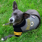 Pets First NFL Green Bay Packers Hoodie for Dogs & Cats. | NFL Football Licensed Dog Hoody Tee Shirt, Small | Sports Hoody T-Shirt for Pets | Licensed Sporty Dog Shirt