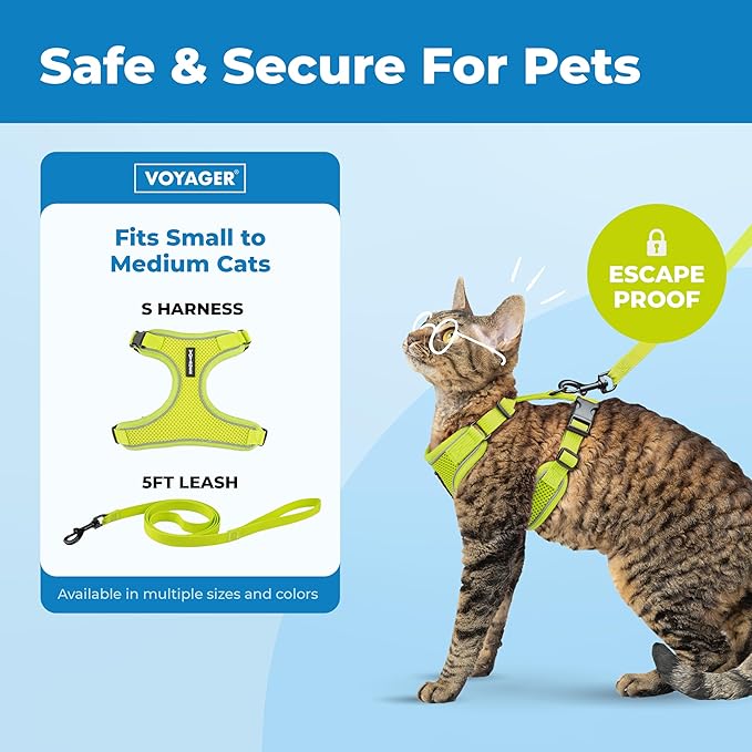 Voyager Escape-Proof Step-in Lock Cat Harness & 5ft Neoprene-Handle Leash Set All-Weather Mesh with Reflective Stitching for Small to Large Cats by Best Pet Supplies, Lime (327), M