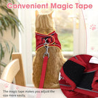 Cat Harness and Leash Set for Walking Escape Proof, Soft Adjustable Kitten Harness Breathable Mesh with Reflective Strips Harness for Kitty Puppy Bunny(Red,XS)