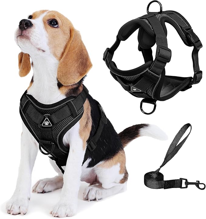 No Pull Dog Harness with Leash Set for Small Sized Dog, Reflective Adjustable No Choke Front Clip Cat Vest Harness with Breathable Mesh, Comfortable Soft Padded Pet Vest, Black L