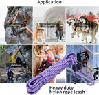 Long Dog Leash for Training 20Ft-Reflective Nylon Rope with Swivel Hook-Recall Agility Lead for Large Small Medium Dogs Outside Walking Hiking-Purple Diam 1/2"