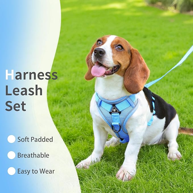 No Pull Dog Harness with Leash Set for Small Sized Dog, Reflective Adjustable No Choke Front Clip Cat Vest Harness with Breathable Mesh, Comfortable Soft Padded Pet Vest, Blue M