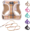PUPTECK Dog Harness and Leash Set for Small Medium Dogs No Pull Step-in Soft Mesh Puppy Cat Vest Harnesses Reflective at Night, Plaid Pattern Beige XS
