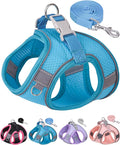 Dog Harness for Small Medium Sized Dog, Step in Puppy Harness and Leash Set Training Walking (Blue, XS)