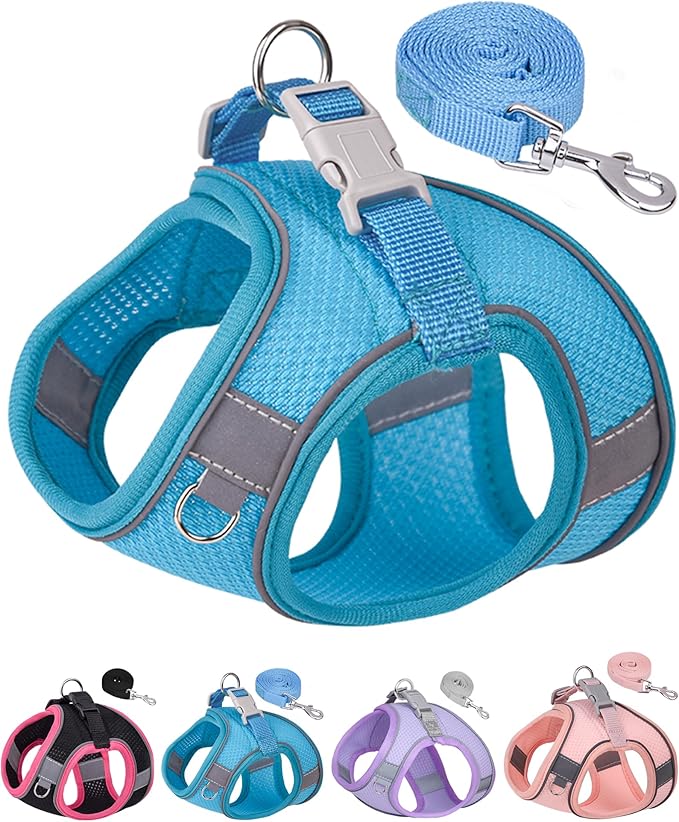 Dog Harness for Small Medium Sized Dog, Step in Puppy Harness and Leash Set Training Walking (Blue, XS)