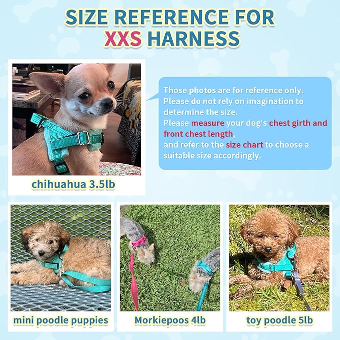SlowTon No Pull Small Dog Harness and Leash Set, Puppy Soft Vest Harness Neck & Chest Adjustable, Reflective Lightweight Harness & Anti-Twist Pet Lead Combo for Small Medium Dogs(BL-Front Clip,XXS)