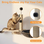 Cat Wall Shelves, Wooden Multi-Level Cat Climbing Furniture, House, Steps, Sisal Scratcher, Perches Bed & Ball, Space-Saving Wall Mounted Cats Shelves for Play & Rest