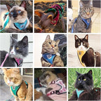 PUPTECK Cat Harness and Leash Set Escape Proof Reflective Cat Walking Harness Adjustable Soft Breathable Mesh Vest for Small Pets, Purple, M