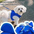 PetiFine Step in Small Dog Harness and Leash Set, Breathable All Weather Air Mesh Reflective Escape Proof, Step-in Vest Harnesses for Puppy(S, Baby Blue)