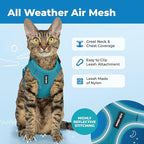 Voyager Escape-Proof Step-in Lock Cat Harness & 5ft Neoprene-Handle Leash Set All-Weather Mesh with Reflective Stitching for Small to Large Cats by Best Pet Supplies, Turquoise (327), XS