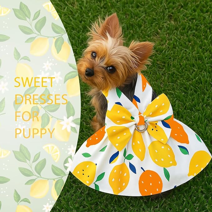 Dog Dress Bowknot Harness Leash Set for Small Girl Dogs Yellow Lemon Dog Cat Clothes Cute Puppy Outfits Pet Clothes Spring Summer Breathable Dresses(Large)