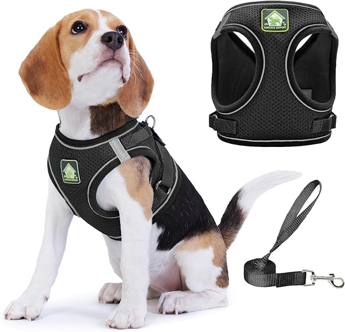 Step in Dog Harness with Leash Set, Adjustable Soft Padded and Breathable Mesh for Small Sized Dog, Reflective No Pull No Choke Cat Vest Harness, Easy Control Pet Vest, Black L