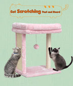 SYANDLVY Small Cat Tree for Indoor Cats, Scratching Board with Perch & Scratching Post, Kittens Scratcher with 2 Dangling Balls, Pink